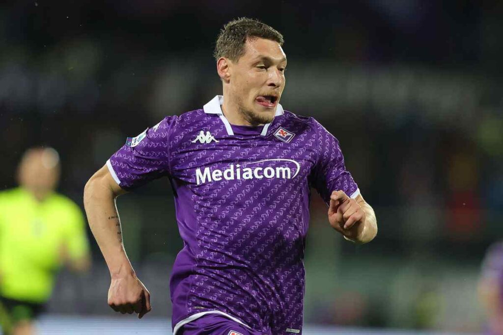 Belotti Como