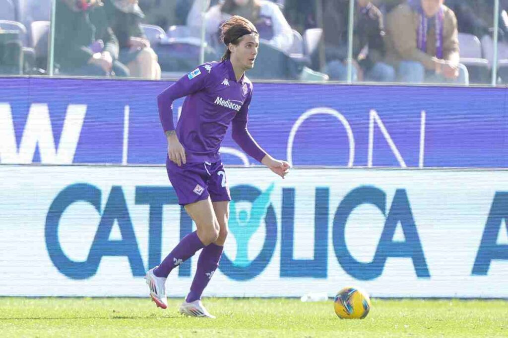 Fiorentina Colpani