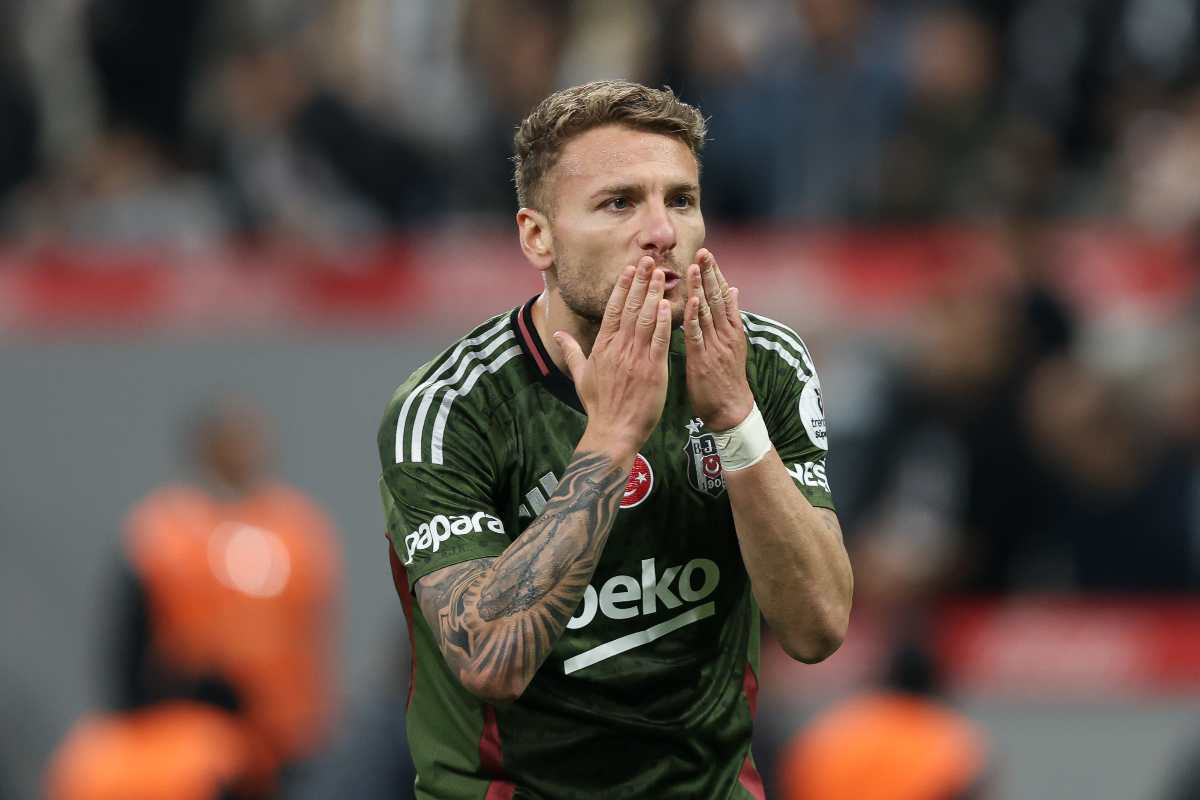 Bologna Immobile
